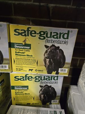 Safe-guard Dewormer Block