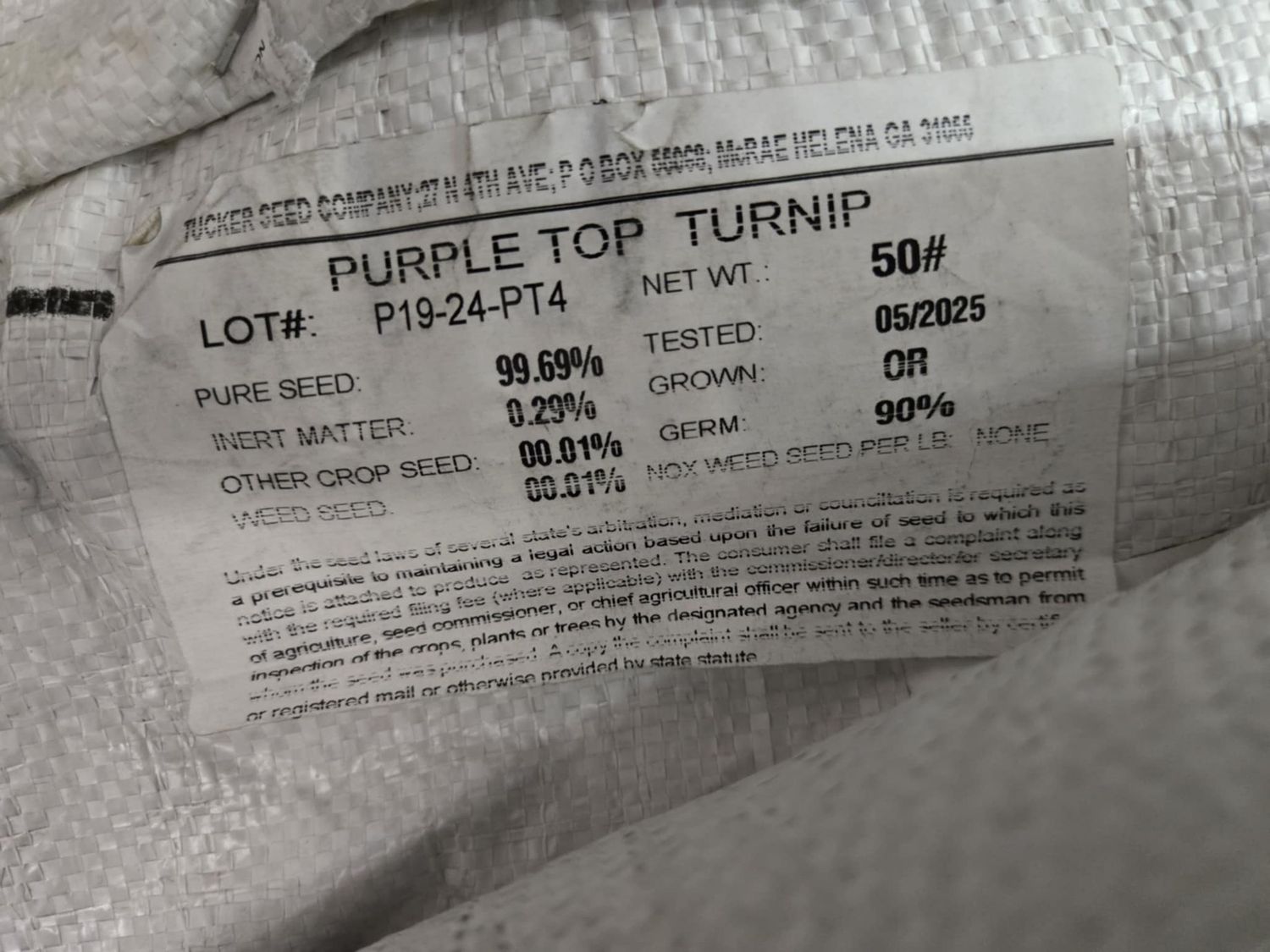 Purple Top Turnip