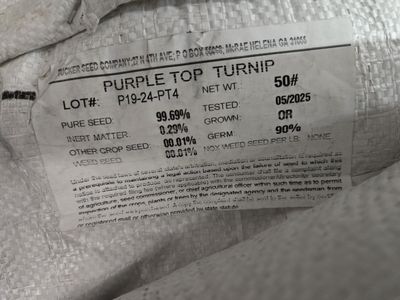 Purple Top Turnip