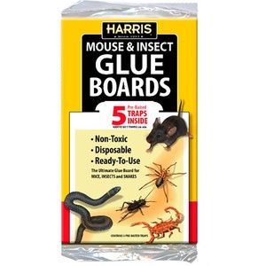 Mouse and Insect Glue Board