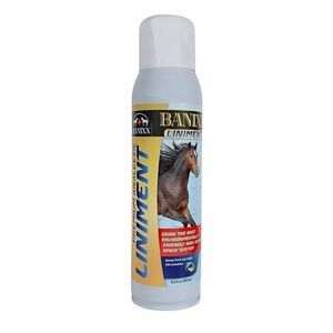 Liniment Spray