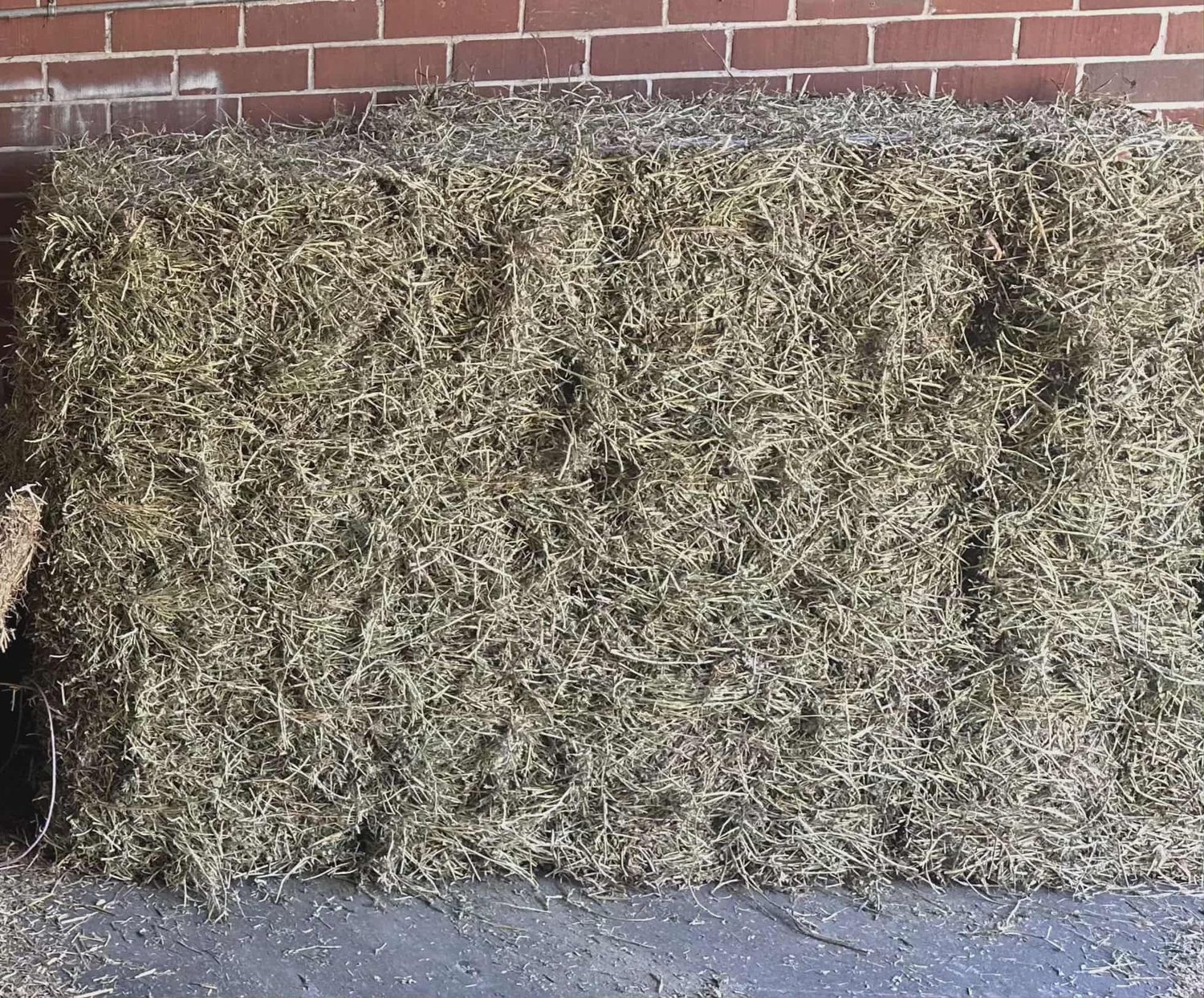 Wheat Straw Bale