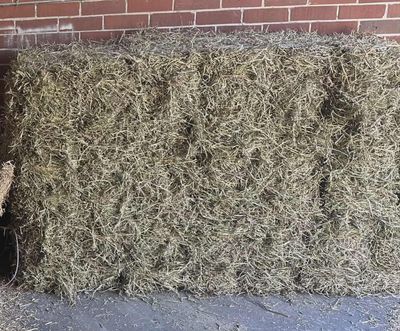 Wheat Straw Bale