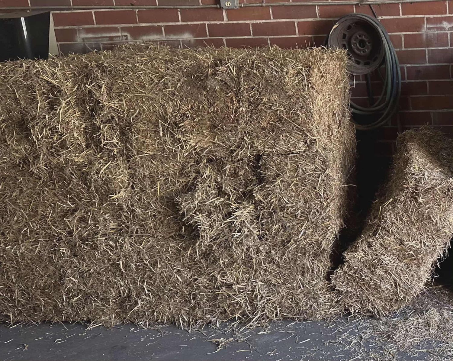 Peanut Hay