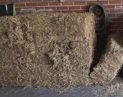 Peanut Hay