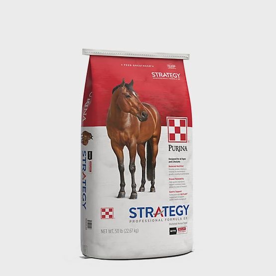 Strategy Professional