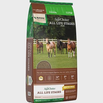 SafeChoice All Stages