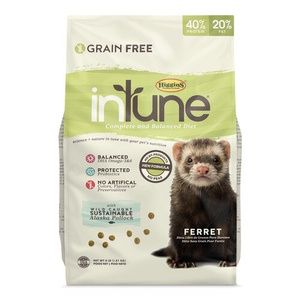Intune Ferret Food
