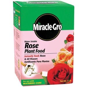 Rose Plant Food