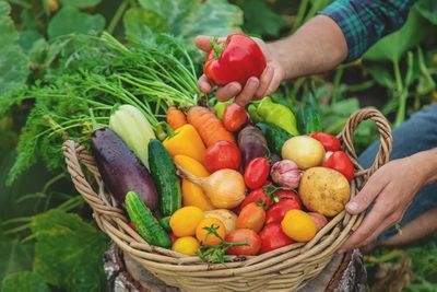 Légumes d'été