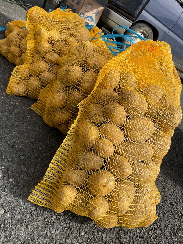 Pomme de terre filet de 10kg