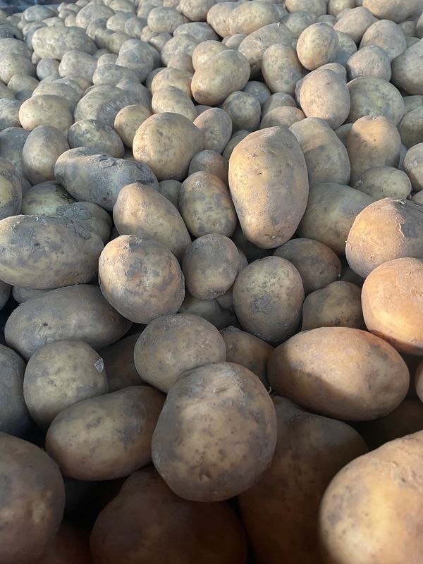 Pomme de terre de Conso détail