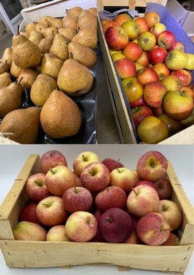 Fruit