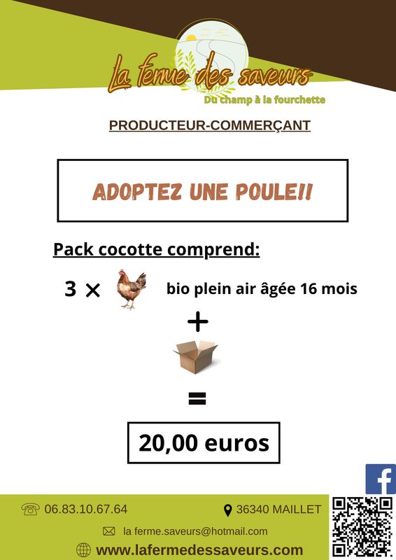 pack cocotte : 3 poules