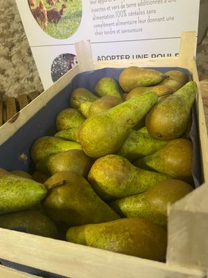 Poire conférence