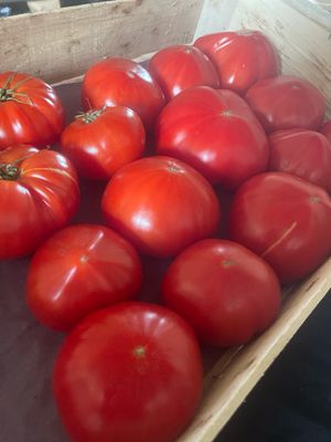 Tomate cœur de bœuf