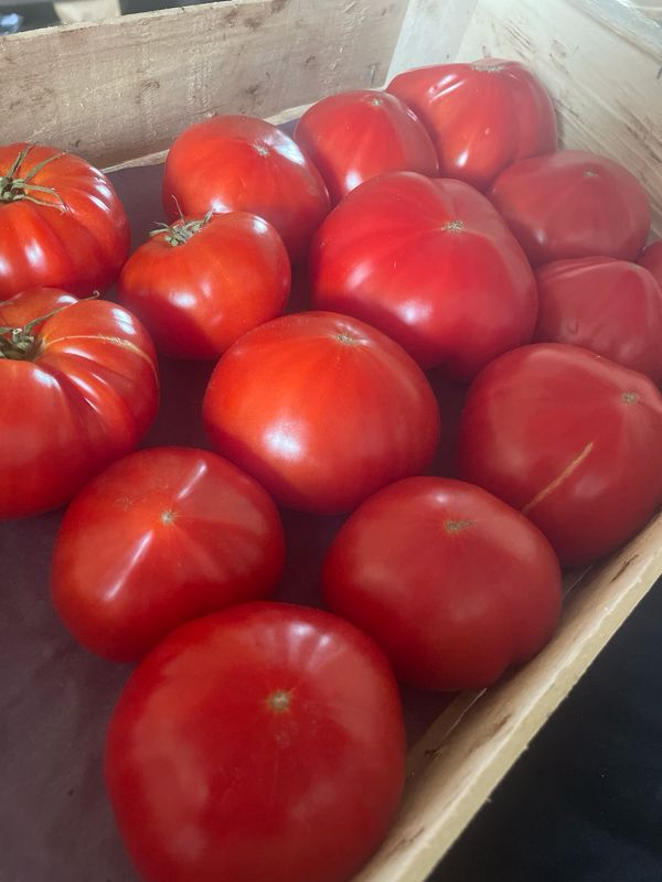 Tomate cœur de bœuf