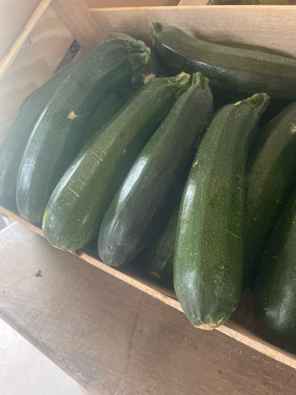 Courgette verte
