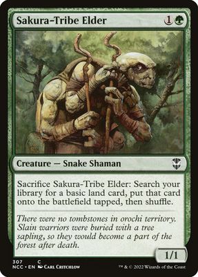 Sakura-Tribe Elder NCC_307