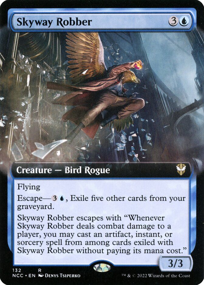 Skyway Robber NCC_132