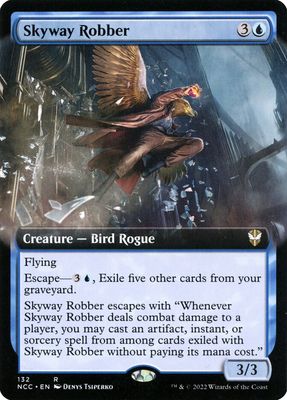 Skyway Robber NCC_132