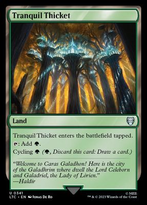 Tranquil Thicket LTC_341