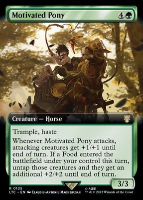 Motivated Pony LTC_125