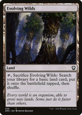 Evolving Wilds DMC_208