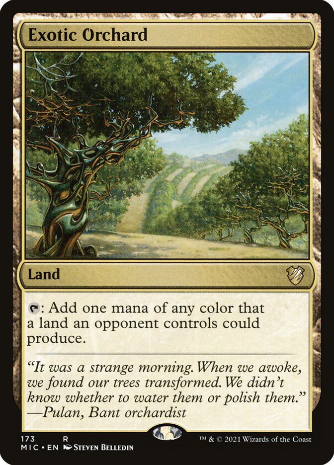 Exotic Orchard MIC_173