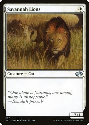 Savannah Lions J22_237