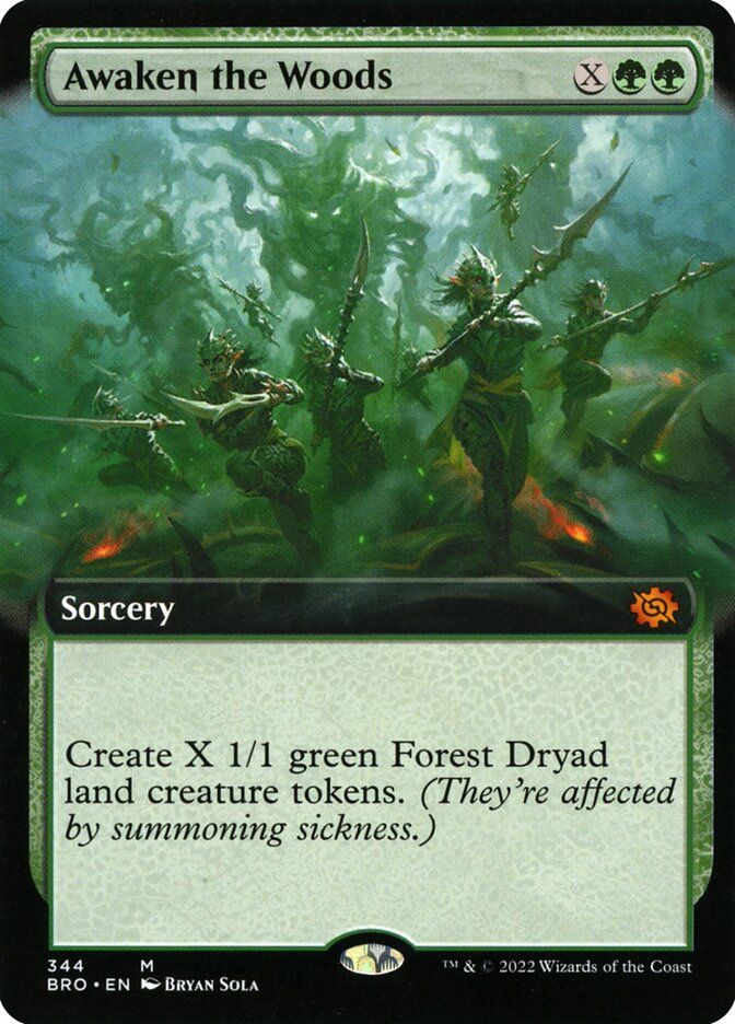 Awaken the Woods BRO_344
