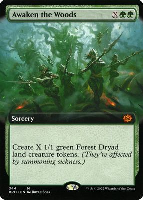 Awaken the Woods BRO_344