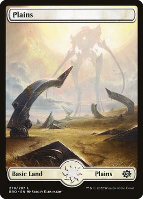 Plains BRO_278