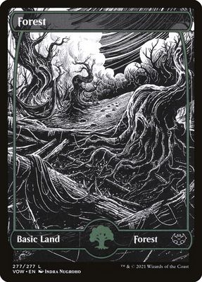 Forest VOW_277