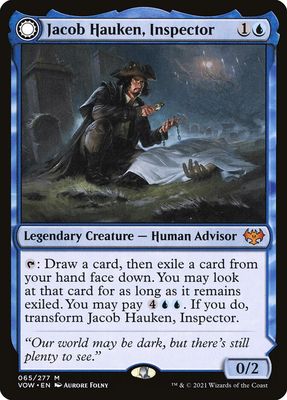 Jacob Hauken, Inspector // Hauken&#39;s Insight VOW_65