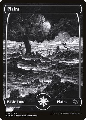 Plains VOW_268