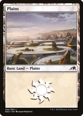 Plains NEO_284