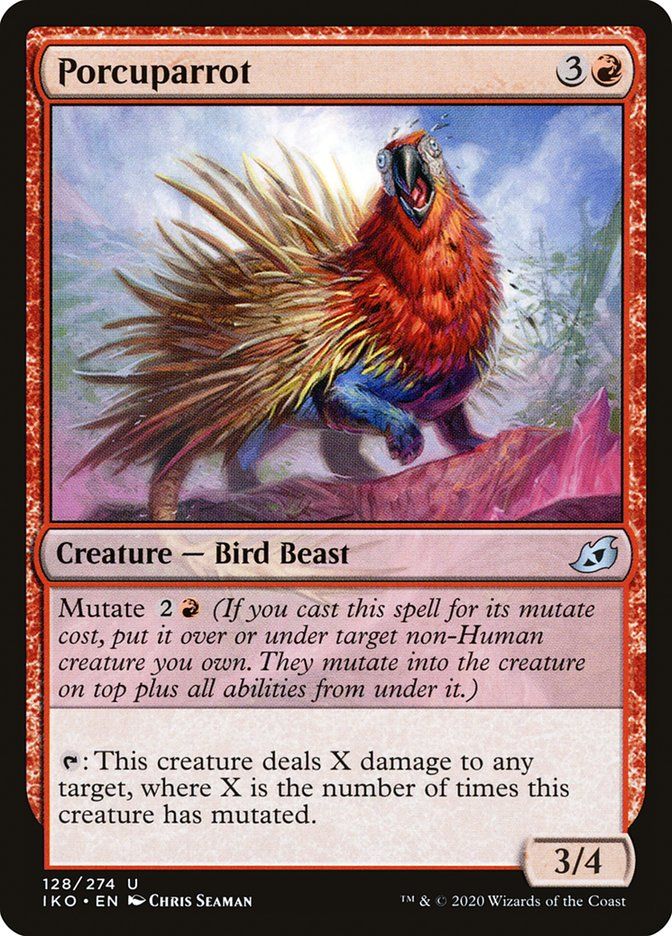 Porcuparrot IKO_128