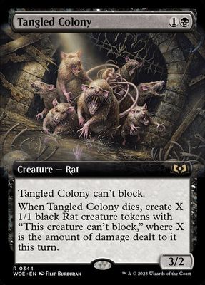 Tangled Colony WOE_344