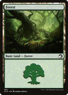 Forest MID_384