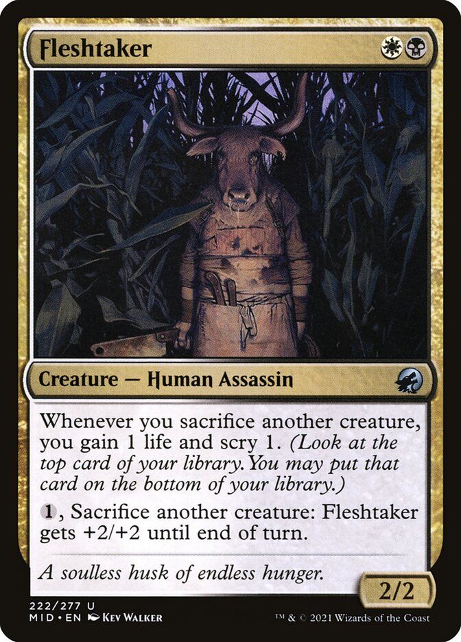 Fleshtaker MID_222