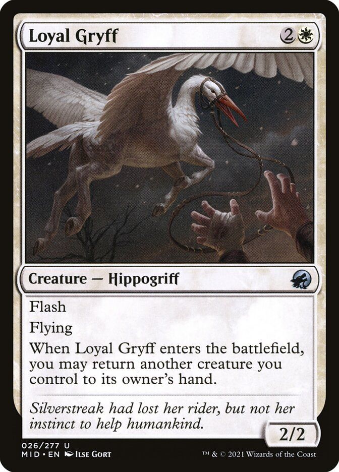 Loyal Gryff MID_26