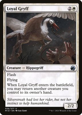 Loyal Gryff MID_26