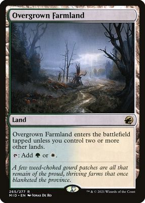 Overgrown Farmland MID_265