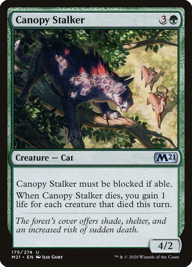 Canopy Stalker M21_175