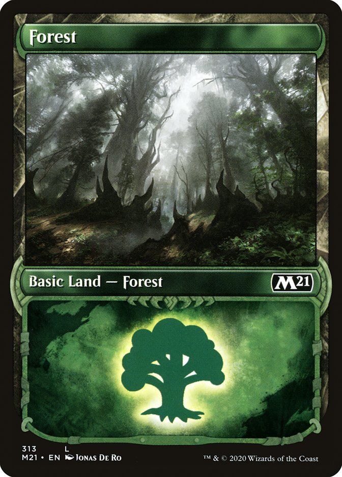 Forest M21_313