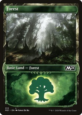 Forest M21_313