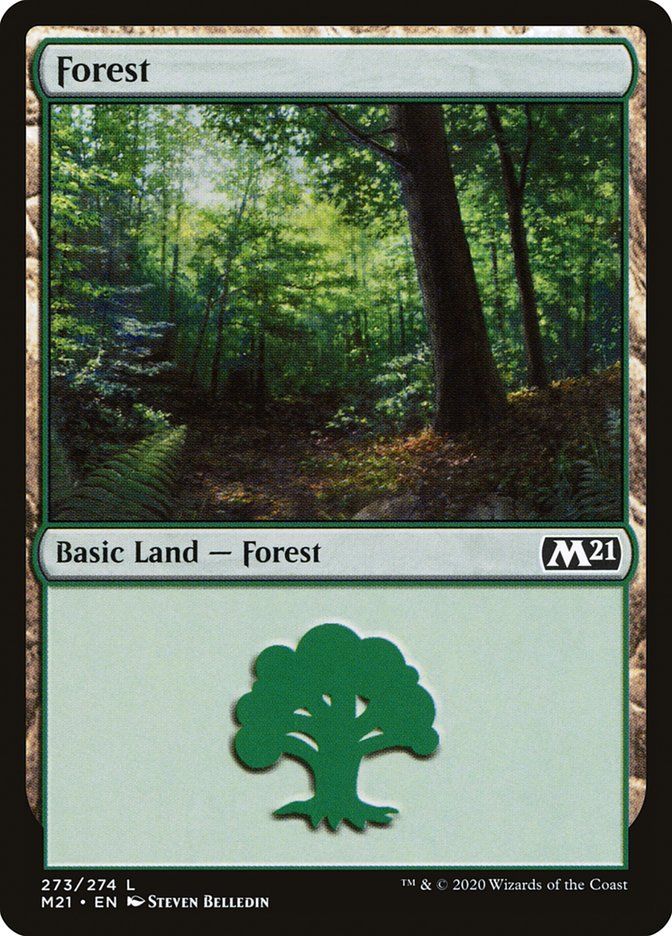 Forest M21_273