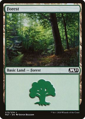 Forest M21_273