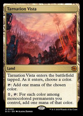 Tarnation Vista BIG_30
